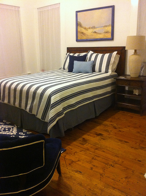 Sleek Metal Canopy Bed